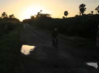 IMG_8241