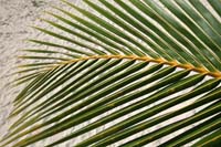 IMG_8579