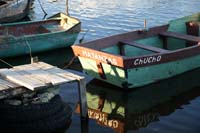 IMG_8609